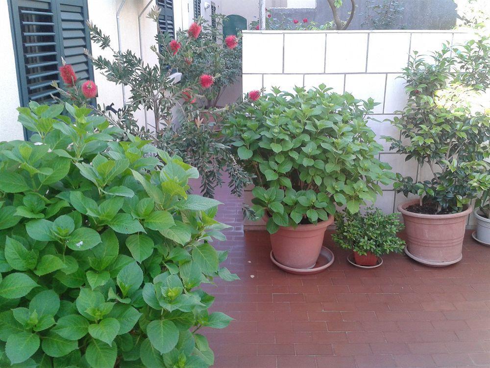 Guesthouse Anna Dubrovnik Bagian luar foto